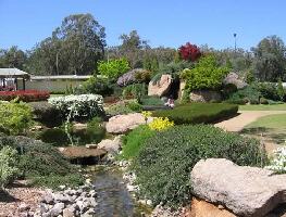Wellington Australia Japanese Garden