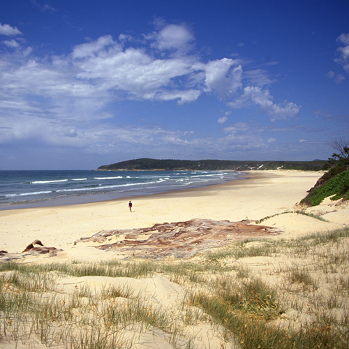 Yamba Tours