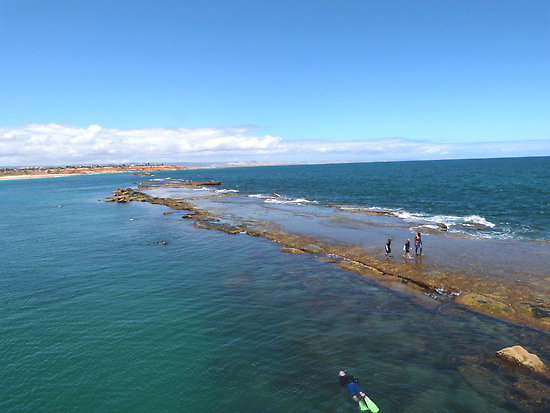 Port Noarlunga Reef