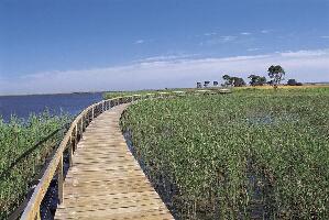 Coonawarra Wine Region Australia Lagoon