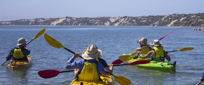 Canoe The Coorong - Day Tours