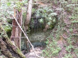 Torreya State Park