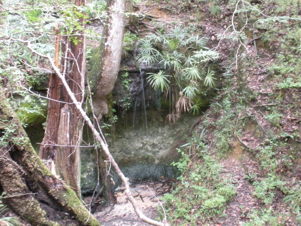 Torreya State Park