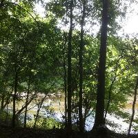 Suwanee