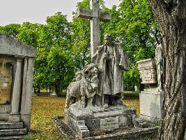 Kokaland Sport and Elmenypark