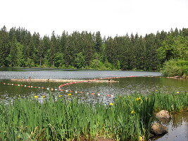 Bussey camp ground