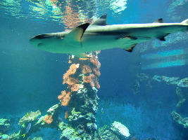 Haus der Natur