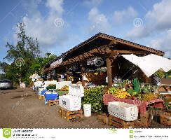 Kahuku United States Farm