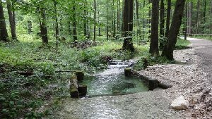 Taferlklaussee