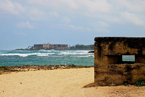 Turtle Bay
