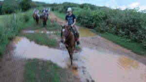 Laie United States Ranch