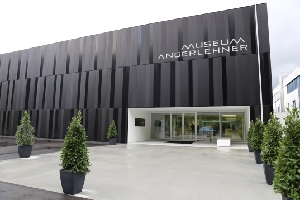Wels Austria Museum