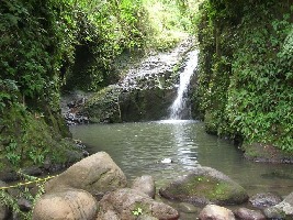 Koolau