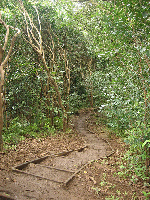 Lulumahu Stream
