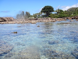 Rocks