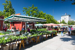 Bauernmarkt am Lendplatz