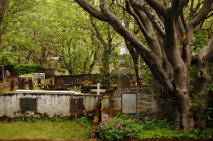 Iceland Cemetery