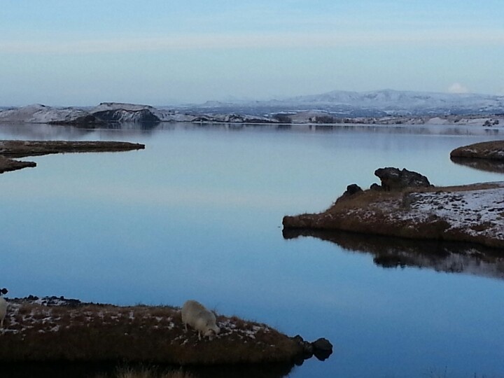 Lake Myvatn