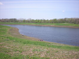 Meacham Grove County Forest Preserve