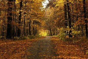 Funks Grove Nature Preserve
