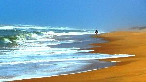 Chandrabhaga Beach