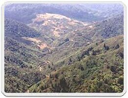 Dhabaleshwar Beach