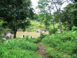 Theppakadu Elephant Camp