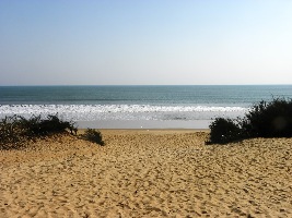 Konark Beach