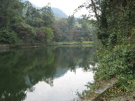 Sally Lake