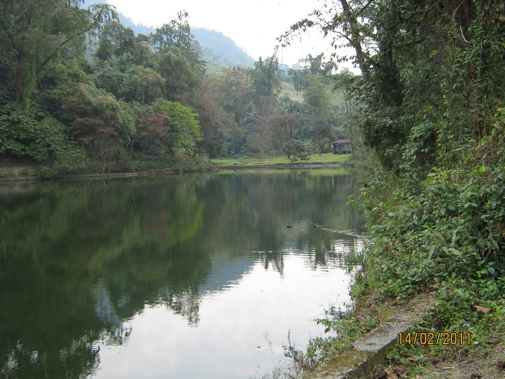 Sally Lake