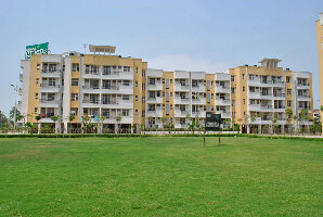 India Farm