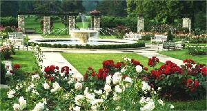 Loose Park Rose Garden