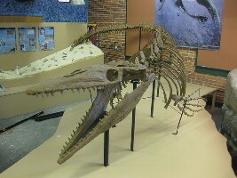 Museum of World Treasures