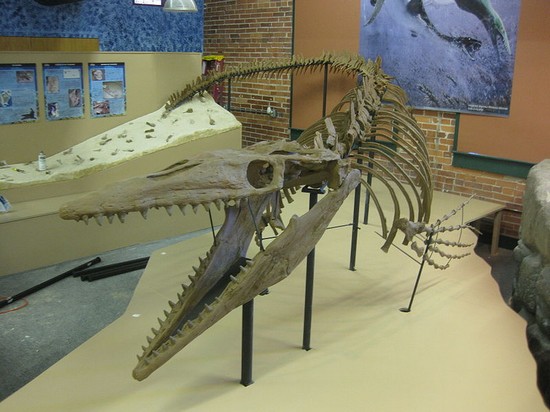 Museum of World Treasures