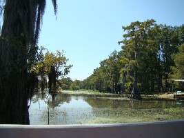 Caddo lake