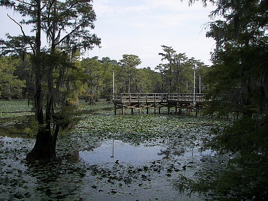 Caddo Lake State Park