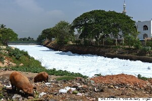 Karnataka India Lake