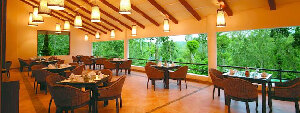 Kodagu (Coorg) India Walk