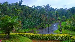 Kannur Mall