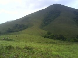 Gorur Dam