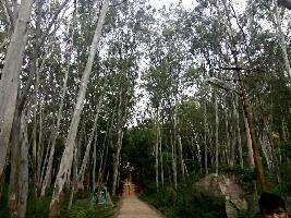 Antharagange Caves
