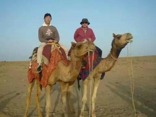 Desert Dream Tours - Day Tours