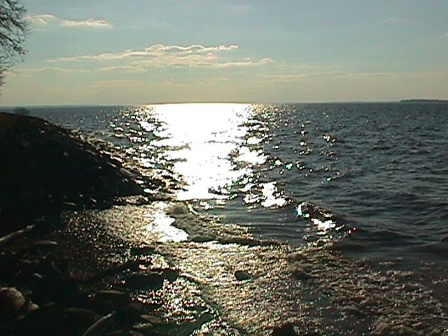 Elk Neck State Forest
