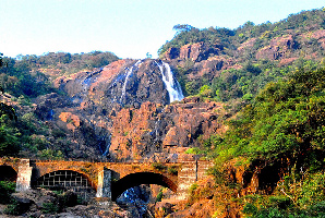 Barmer India Park