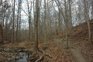 Overlook 2