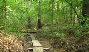 Rock Creek Park