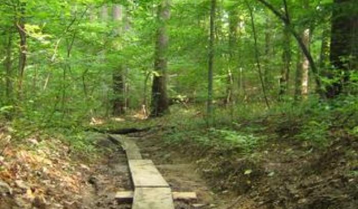 Rock Creek Park