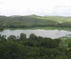 Ranthambore National Park India Lake