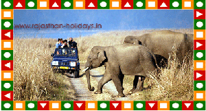 Rajasthan Adventure and Nature Academy