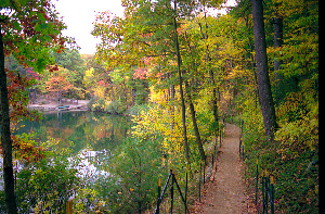 Walden Pond